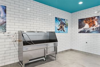 Pet washing station